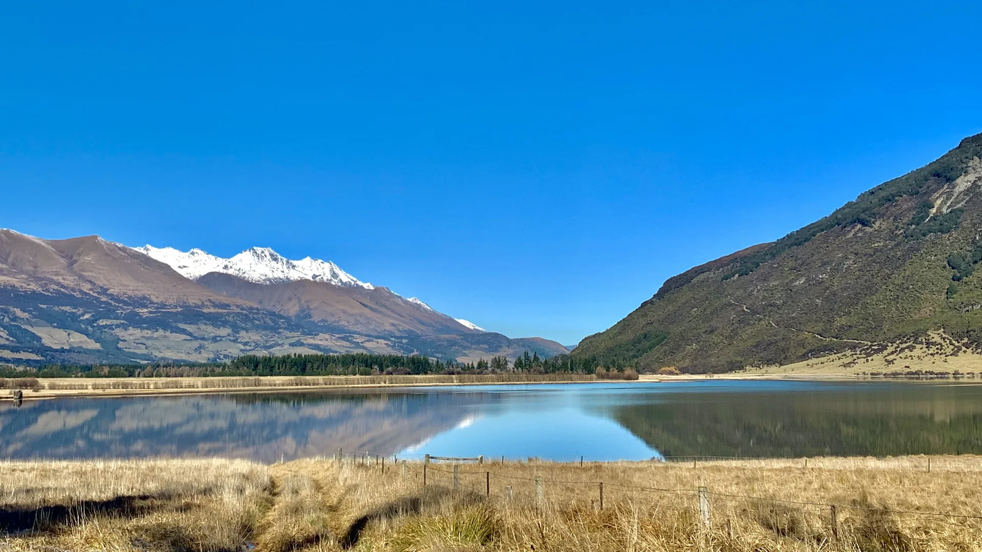 clarity and stillness