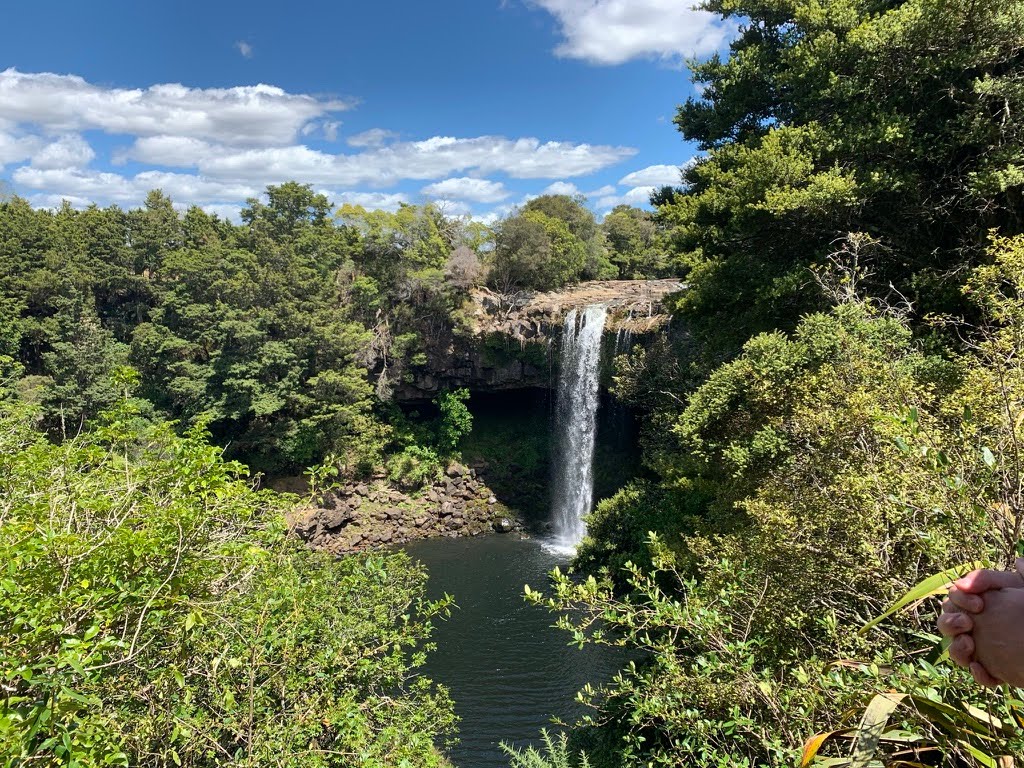 Rainbow Falls, Northland